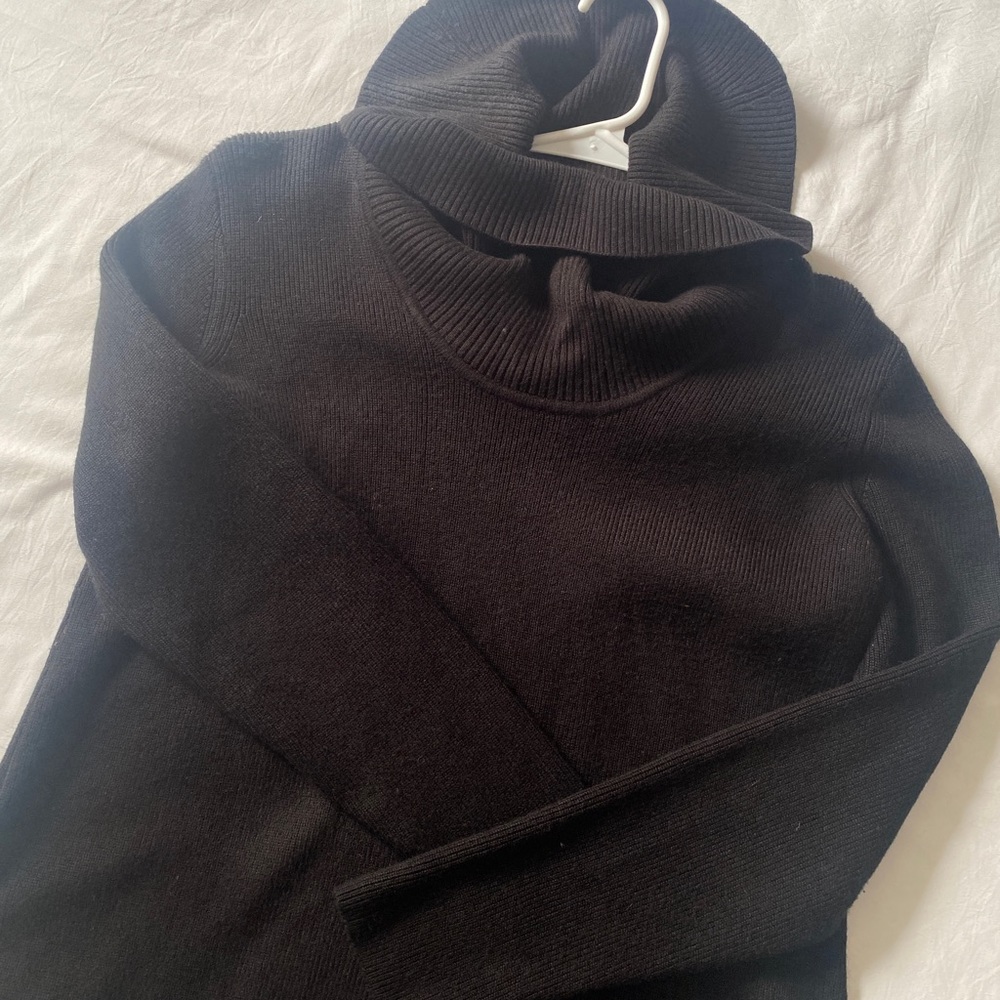 Black turtleneck sweater/dress